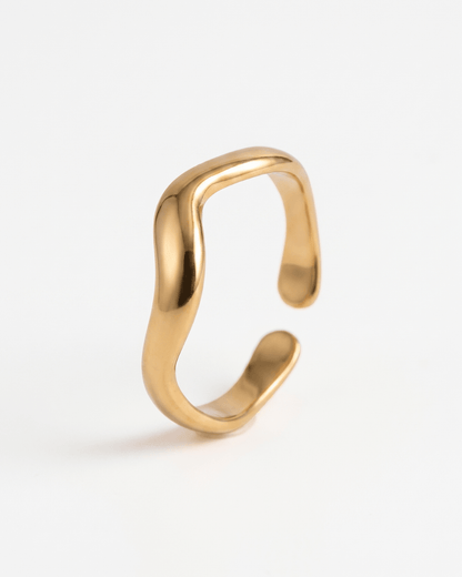 Dash ring