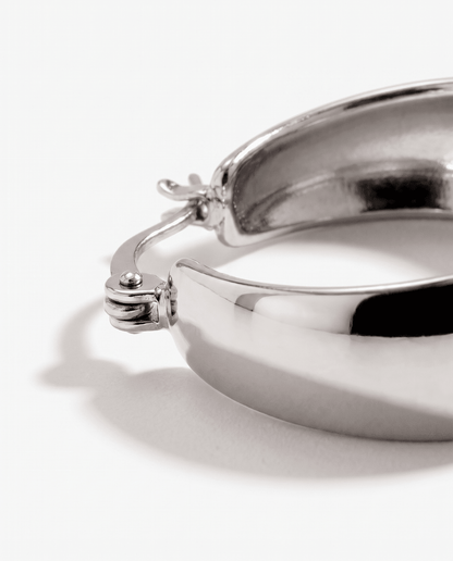 Poza earrings