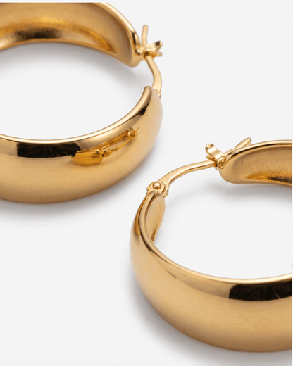 Poza earrings