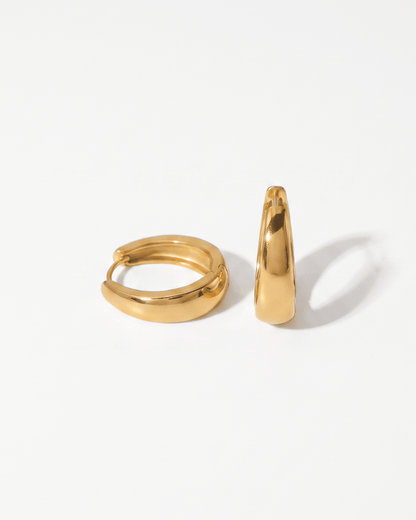 Zianne earrings